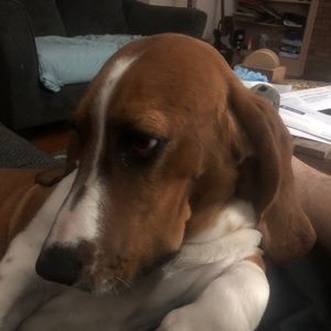 Meet your Posher, Keith